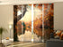 Sliding Panel Curtain Delightfull Orange Autumn