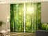 Sliding Panel Curtain Sun in Bamboo Forest