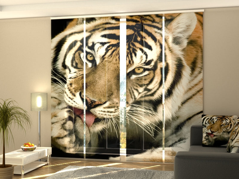 Sliding Panel Curtain Tiger 2