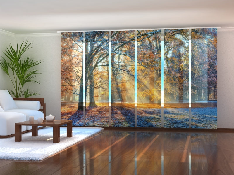 Sliding Panel Curtain First Snow in the Autumn Forest