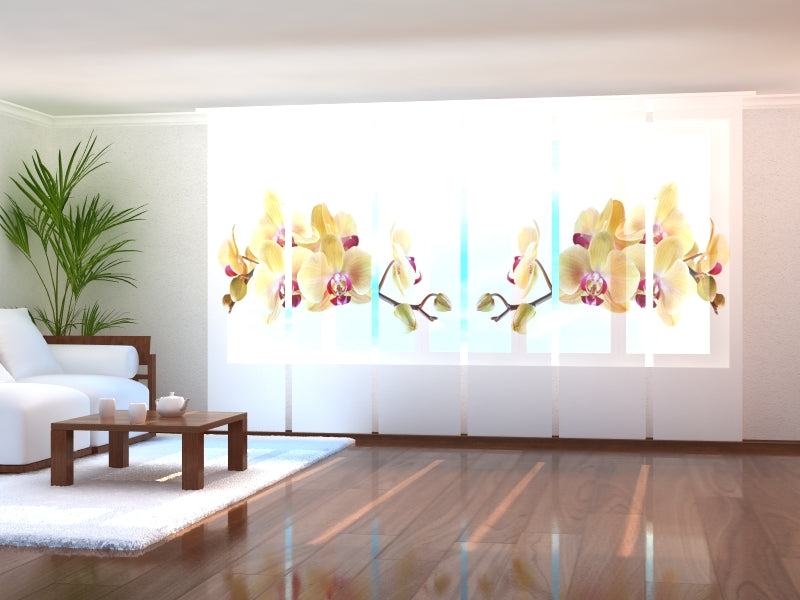 Rideau à panneaux coulissants Amazing Dandelion