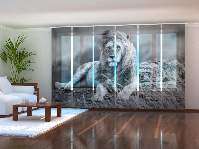 Cortina con paneles correderos Amazing Dandelion