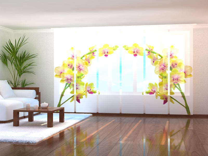 Cortina con paneles correderos Amazing Dandelion