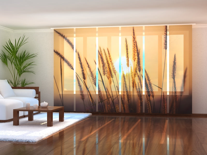 Sliding Panel Curtain Sunset in Spikelets of Grass