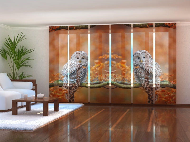 Sliding Panel Curtain Ural Owl at Autumn Oak Forest