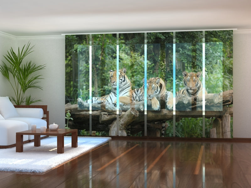 Cortina con paneles correderos Amazing Dandelion