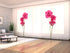 Sliding Panel Curtain Amazing Eustoma