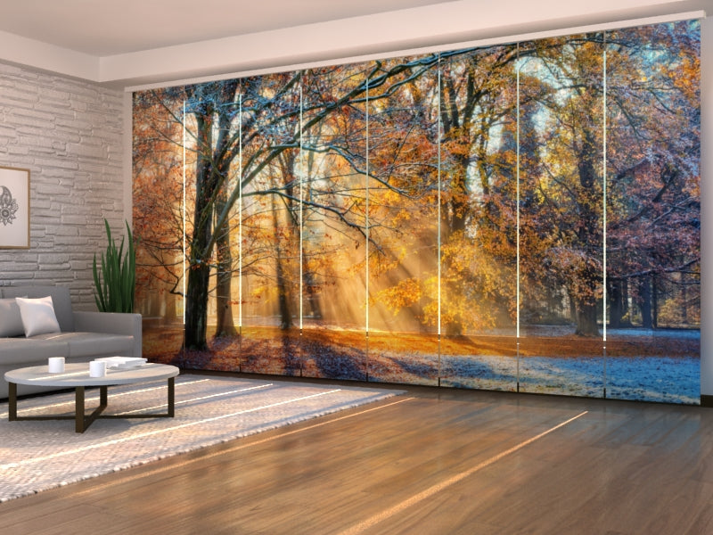 Sliding Panel Curtain First Snow in the Autumn Forest