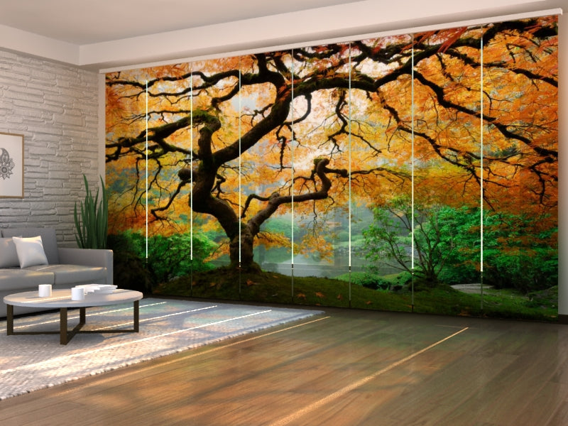 Cortina con paneles correderos Amazing Dandelion