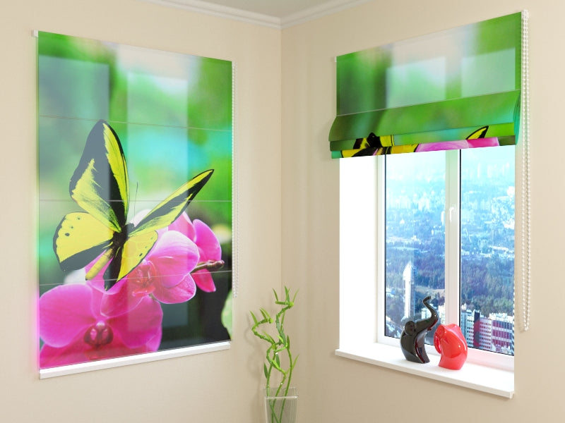 Persiana Romana Colores Brillantes