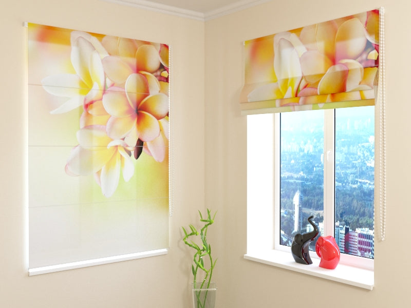 Roman Blind Frangipani Tropical Flower