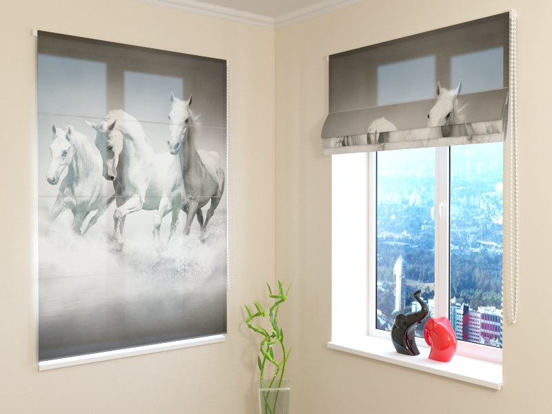 Roman Blind Gracefulness