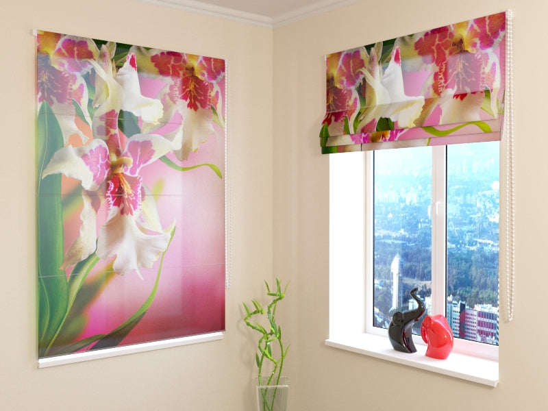 Orquídeas moteadas ciegas romanas