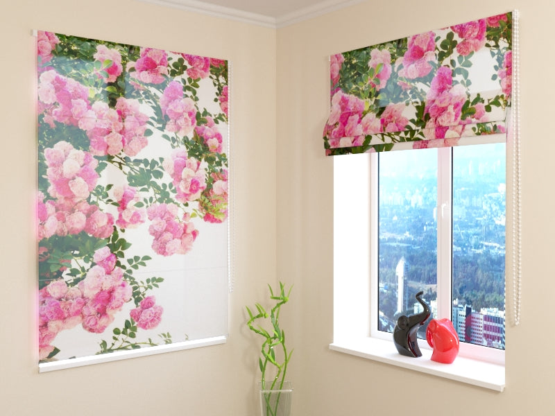 Rosas de jardín rosas ciegas romanas