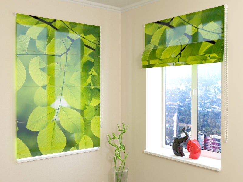 Rameau de printemps aveugle romain avec feuilles vertes