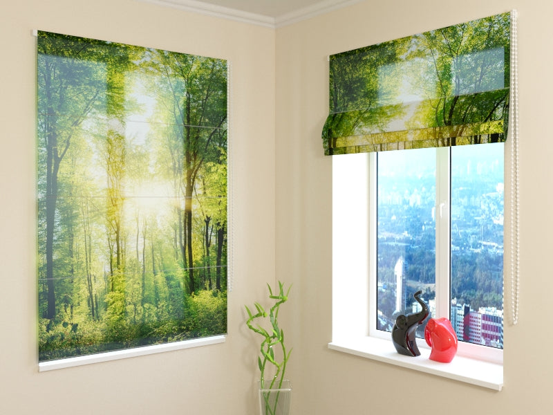 Rayos de sol ciegos romanos