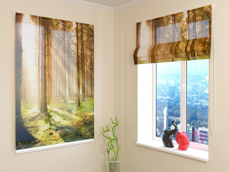 Store romain forêt de pins ensoleillée