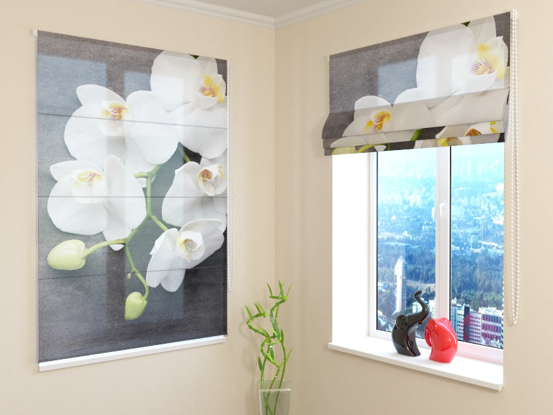 Estor Romano Gris y Blanco