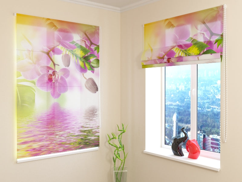 Orquídeas de verano ciegas romanas