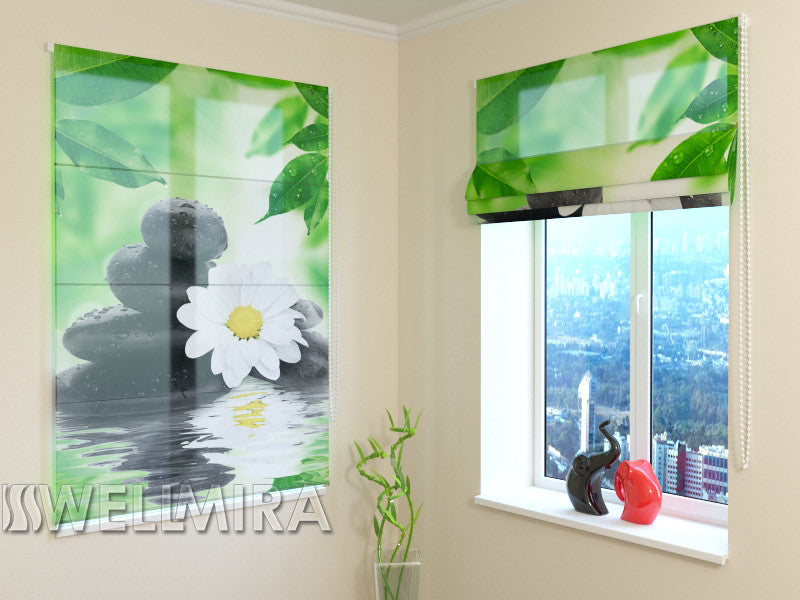 Chrysanthème aveugle romain et pierres