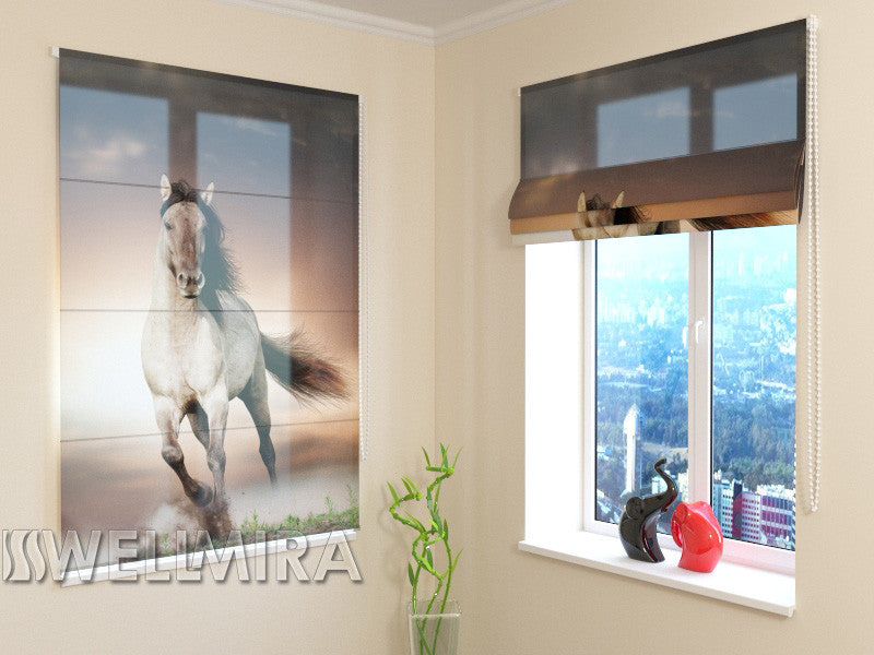 Roman Blind Horse