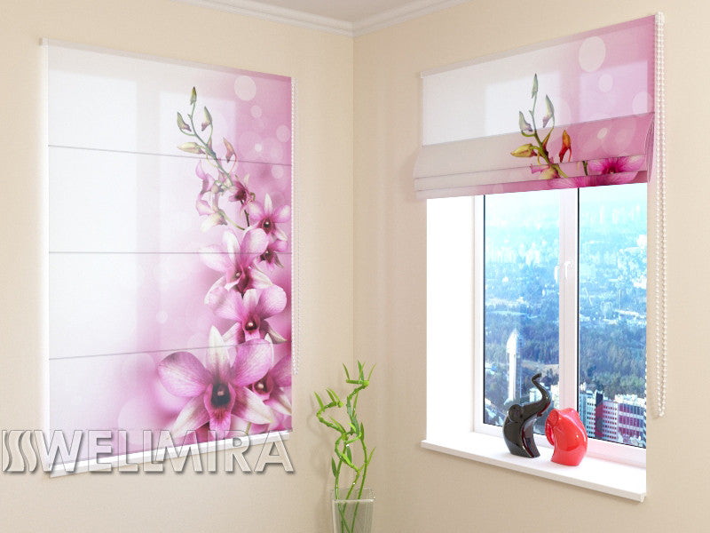 Roman Blind Vine Orchid