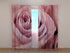 Foto Cortina Amazing Pink Rose