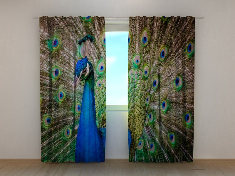 Photo Curtain Amazing Peacock