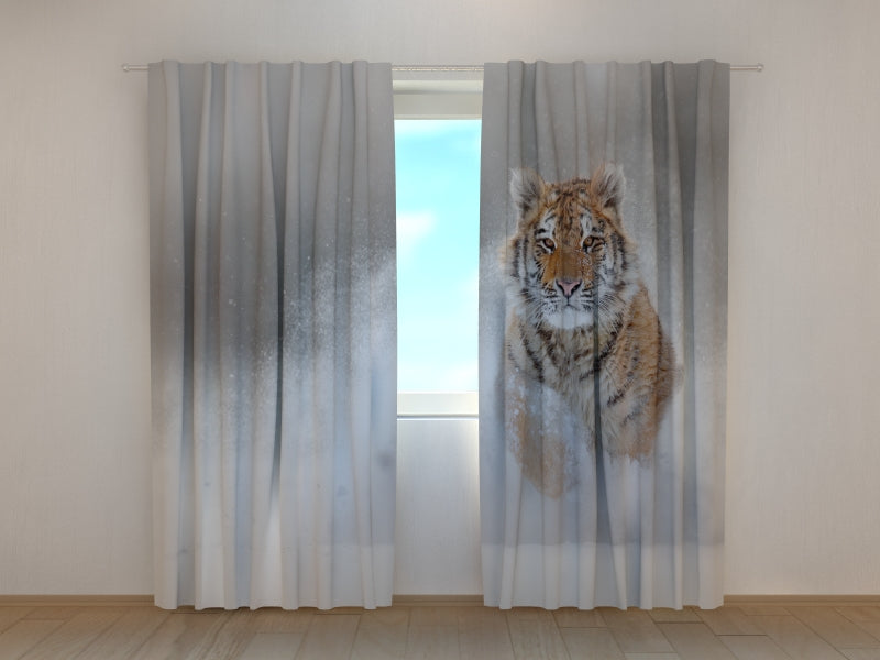 Photo Curtain Amur Tiger