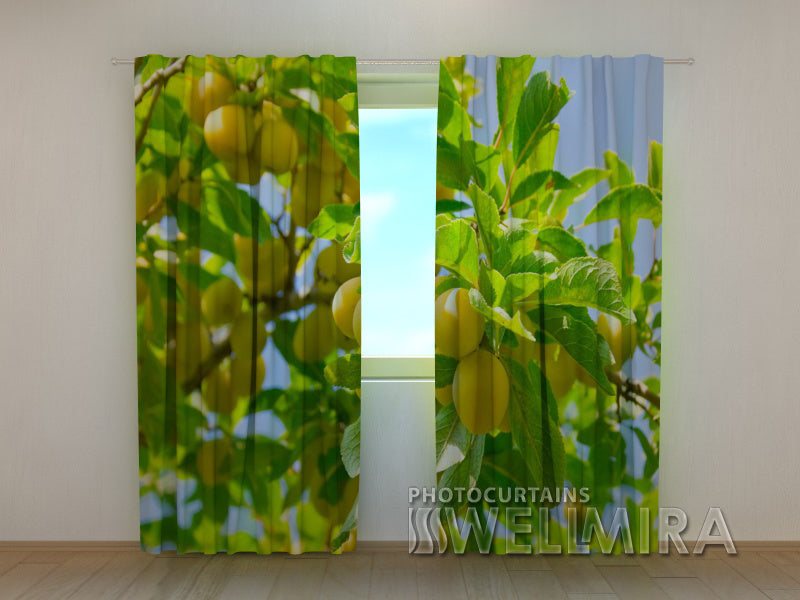 3D Curtain Apricots - Wellmira