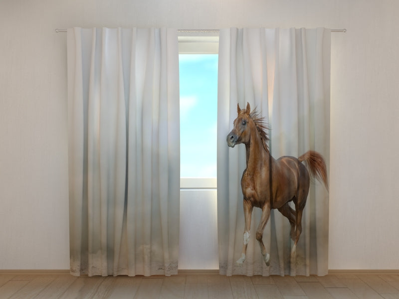 Photo Curtain Arabian Stallion in Prairies