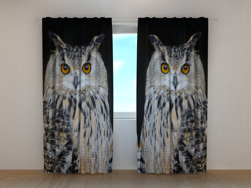 Photo Curtain Attentive Owl