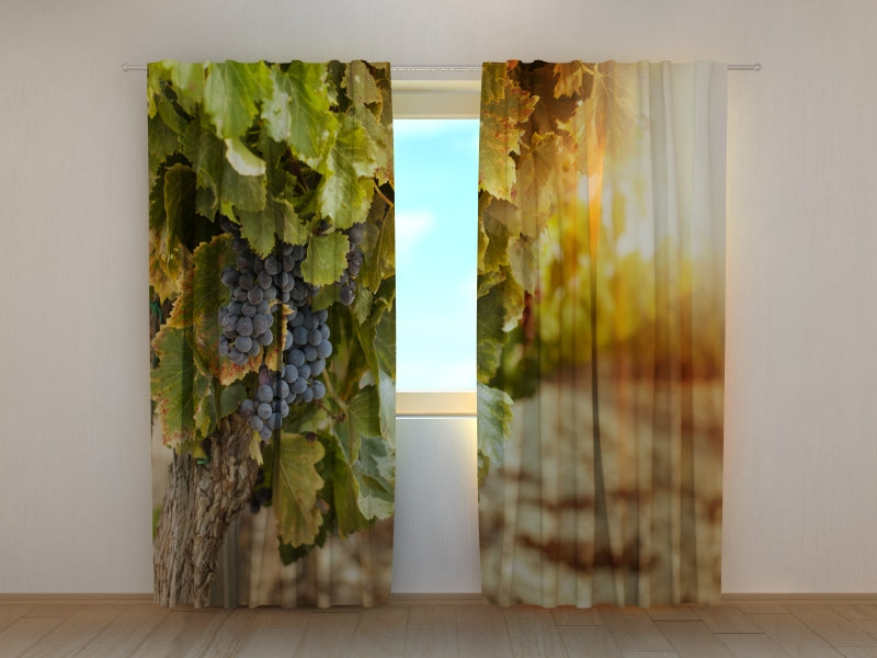 Rideau photo Raisins d'automne