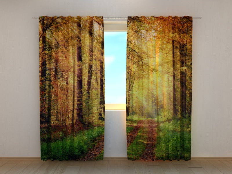 Rideau photo Route d'automne