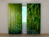 Photo Curtain Bamboo Forest 2 - Wellmira