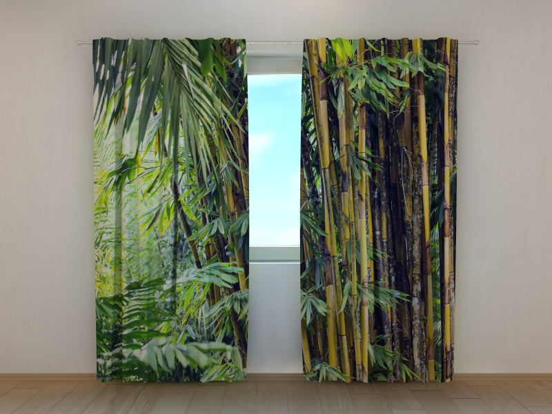 Photo Curtain Bamboo Jungles of the Philippines