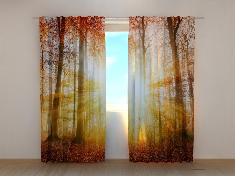 Photo Curtain Beautiful Autumn Sunlight in a Forest