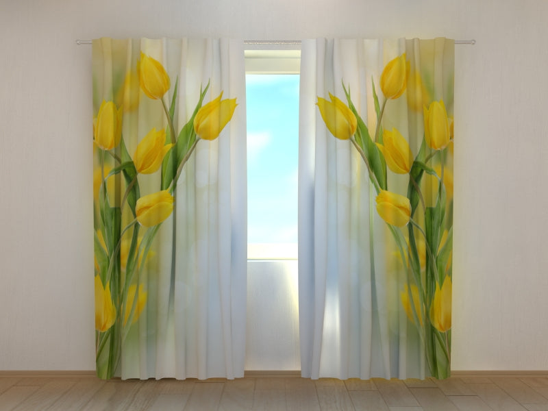 Foto Cortina Hermosos Tulipanes Amarillos