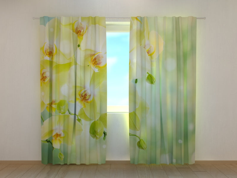 Photo Curtain Beautiful Lemon Orchids