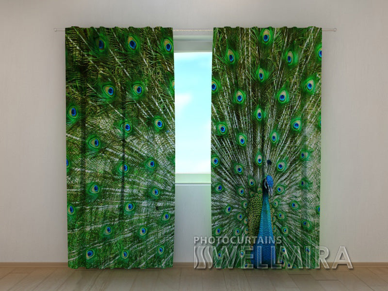 3D Curtain Beautiful Peacock - Wellmira