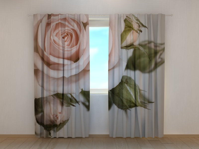 Photo Curtain Beautiful Rose with Buds