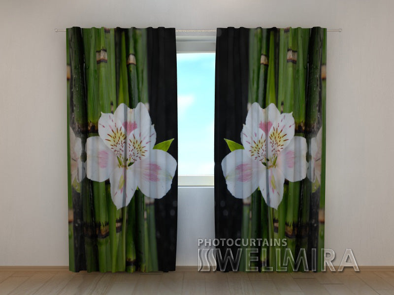 Photocurtain White Orchid and Green Bamboo - Wellmira
