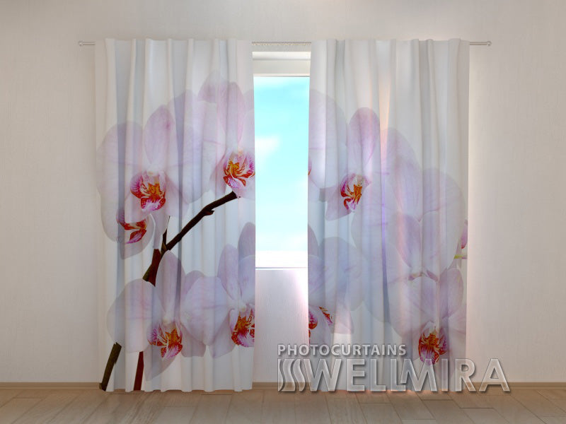 Photocurtain Snow-white Orchid - Wellmira