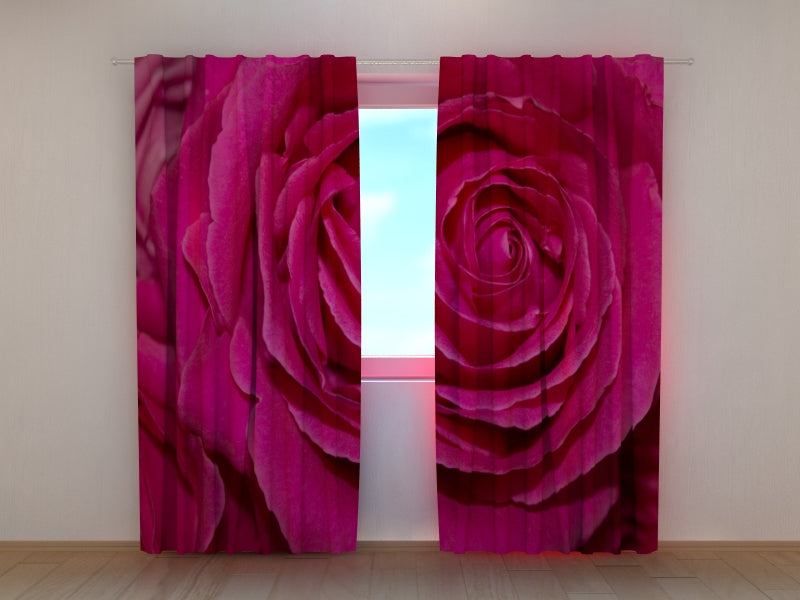 Rideau Photo Grande Rose Pourpre