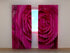 Rideau Photo Grande Rose Pourpre