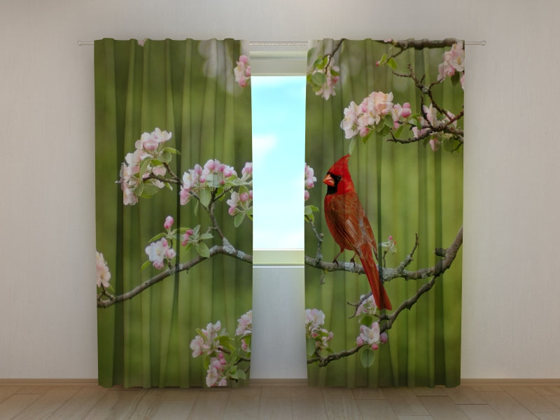 Fotocortina Pájaro cardenal en una ramita primaveral