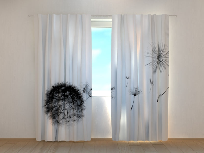 Photo Curtain Black Dandelion