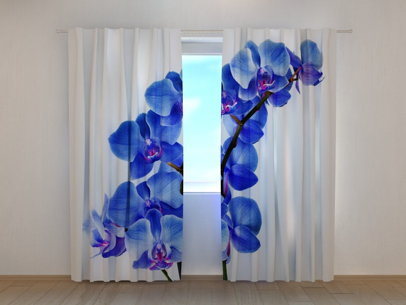 Rideau Photo Orchidée Bleue