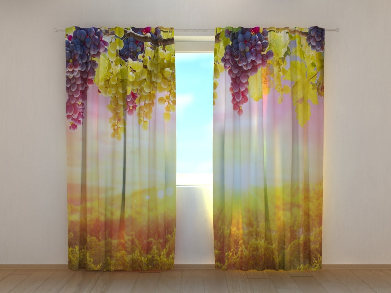 Rideau photo Grappes de raisin au soleil d'été