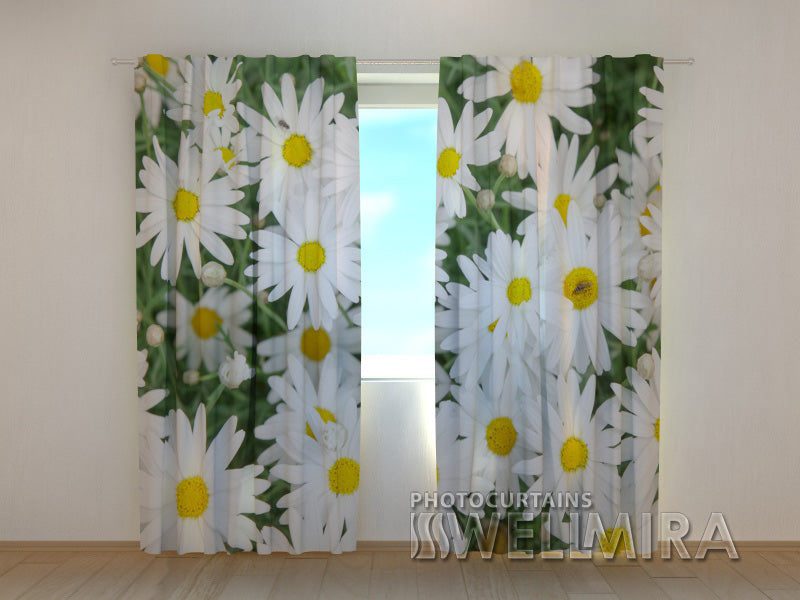 3D Curtain Camomile 2 - Wellmira